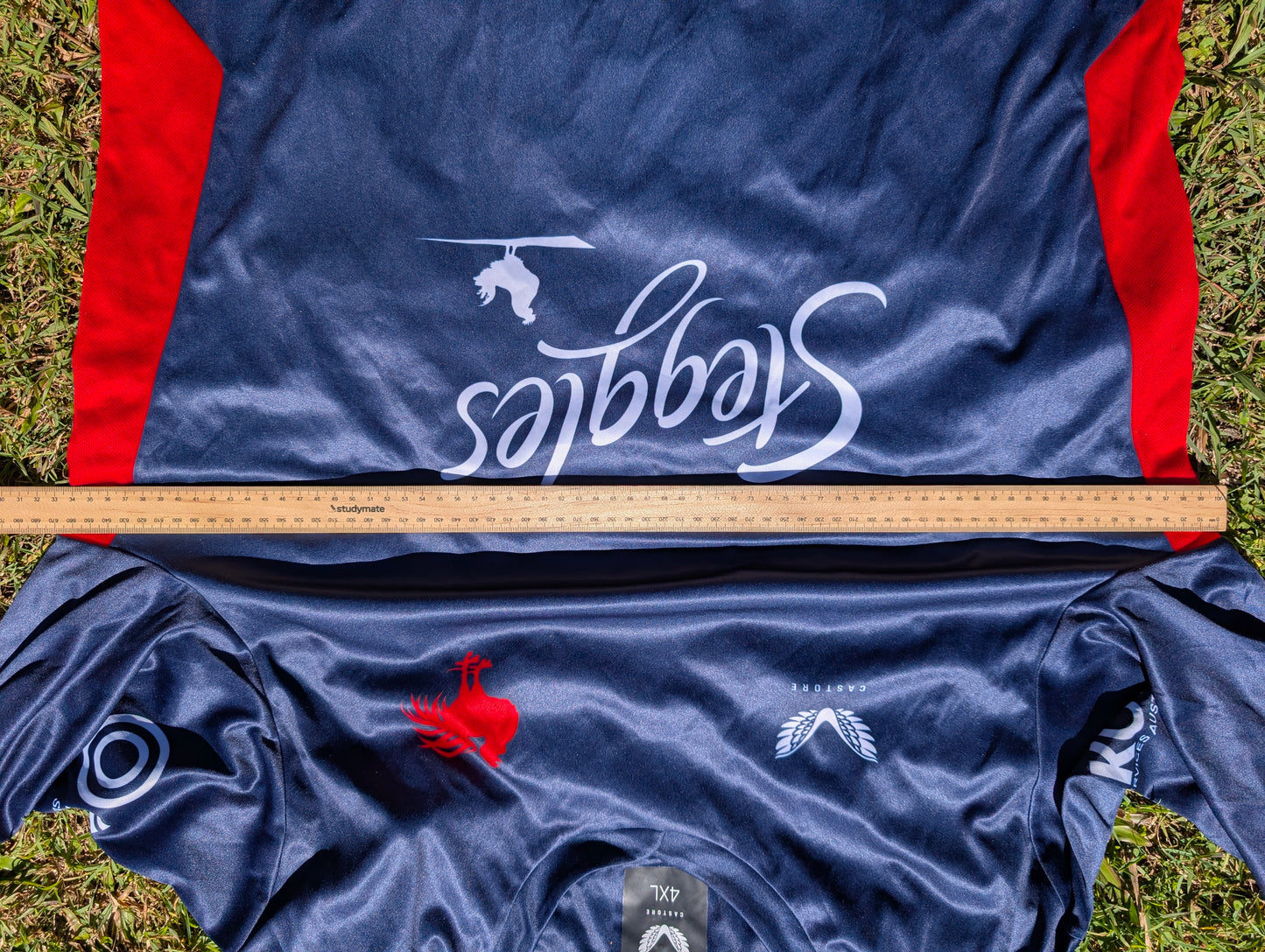 2022 Sydney Roosters Training Jersey (4XL)
