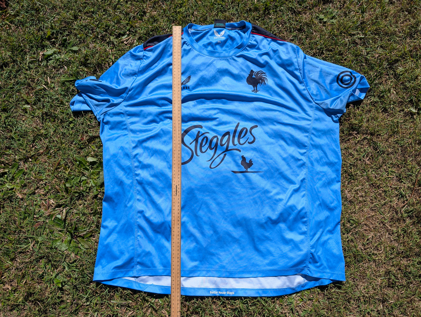 2023 Sydney Roosters Training tee (4XL)