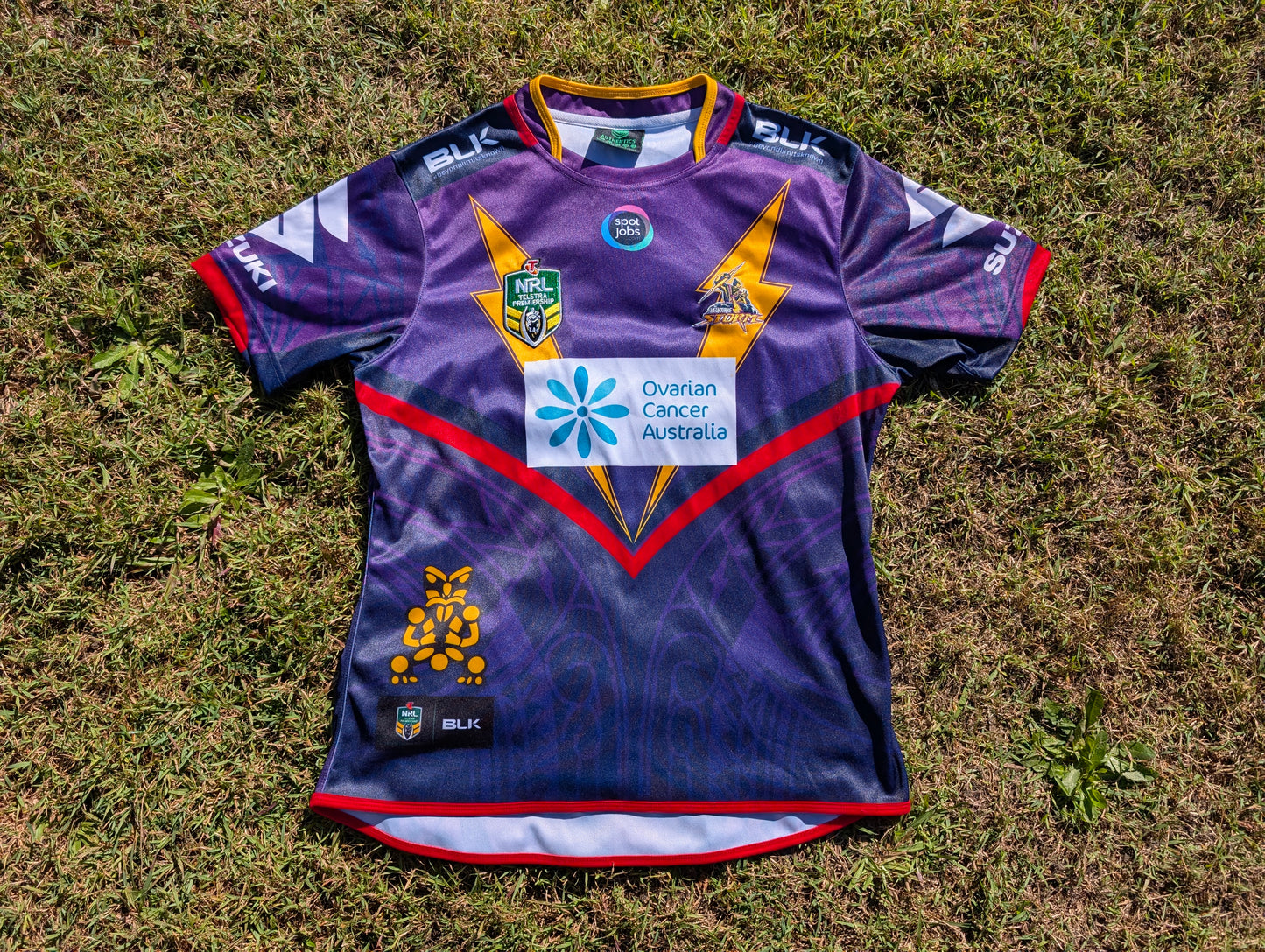 2015 Melbourne Storm Napier Special Jersey (L)