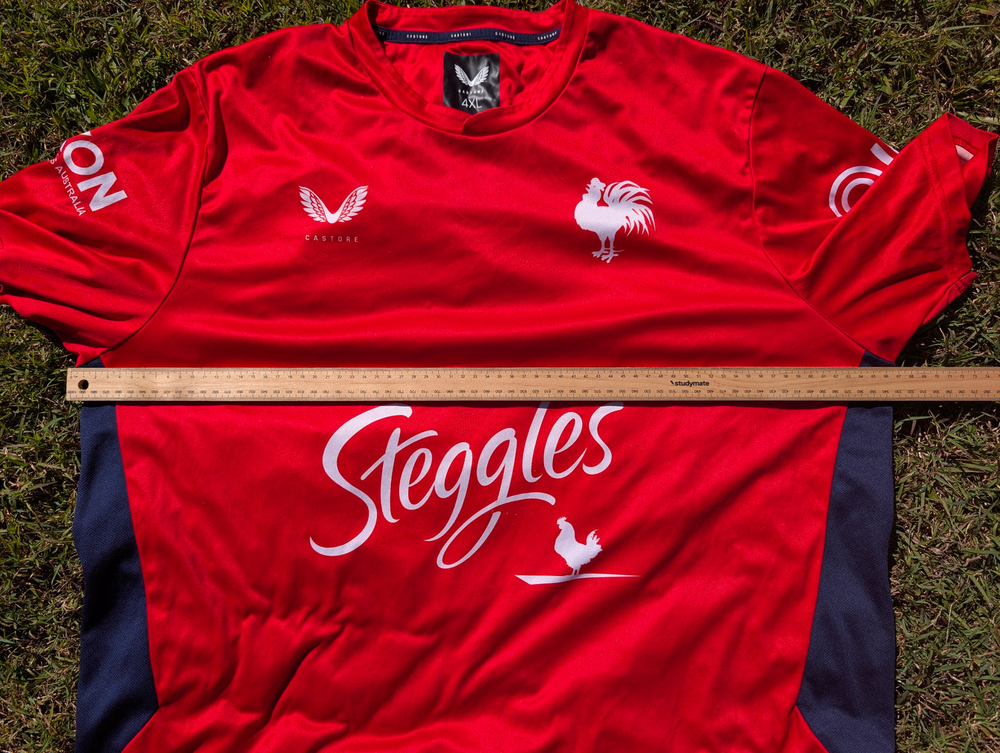 2023 Sydney Roosters training tee (4XL)