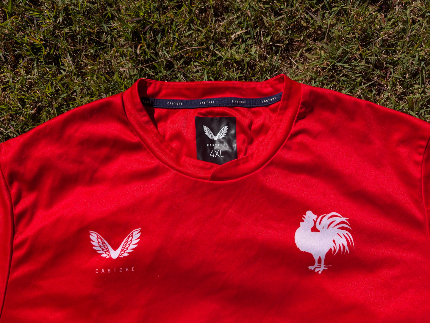 2023 Sydney Roosters training tee (4XL)