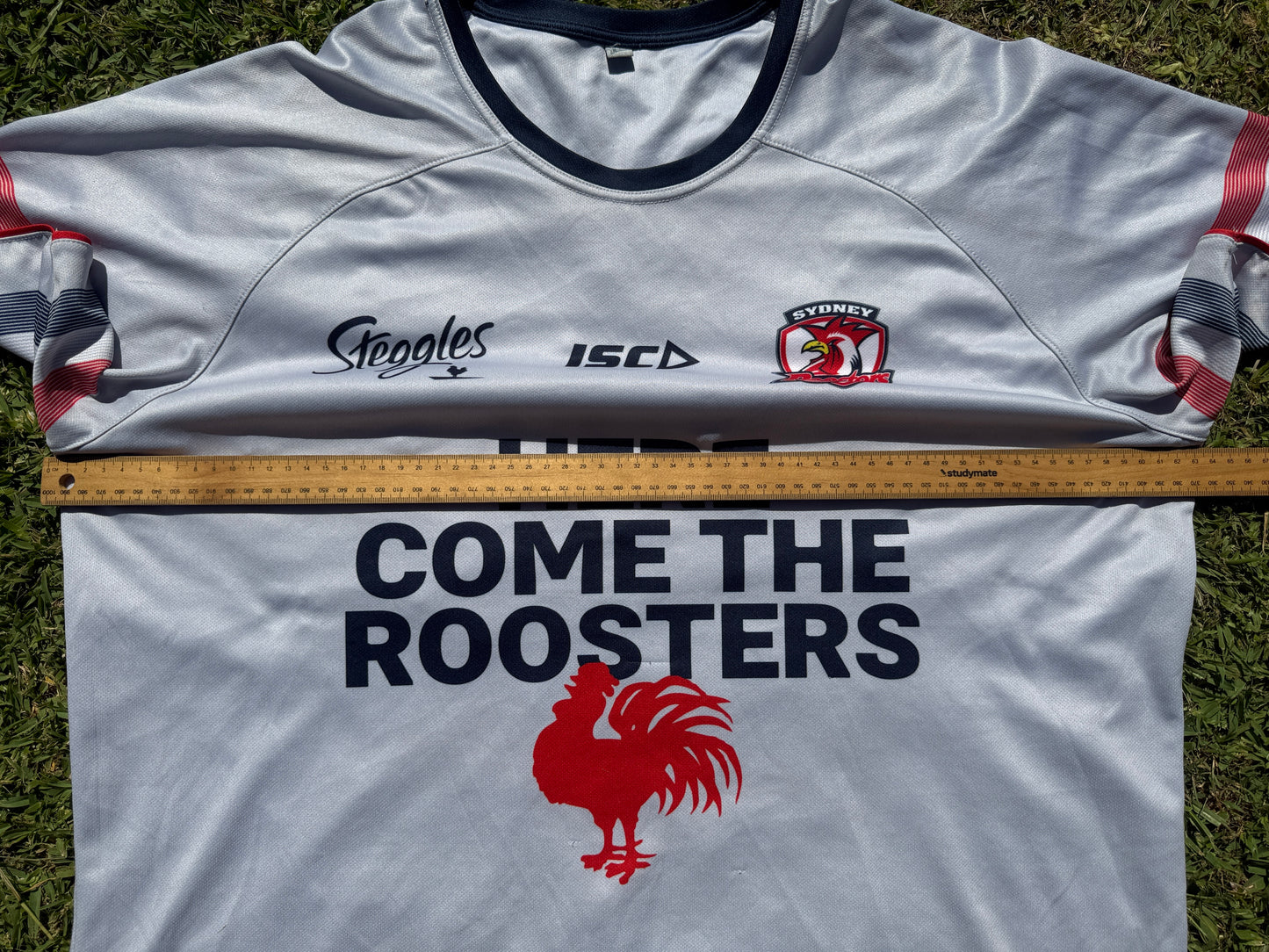 2020 Sydney Roosters Run Out Tee (2XL)
