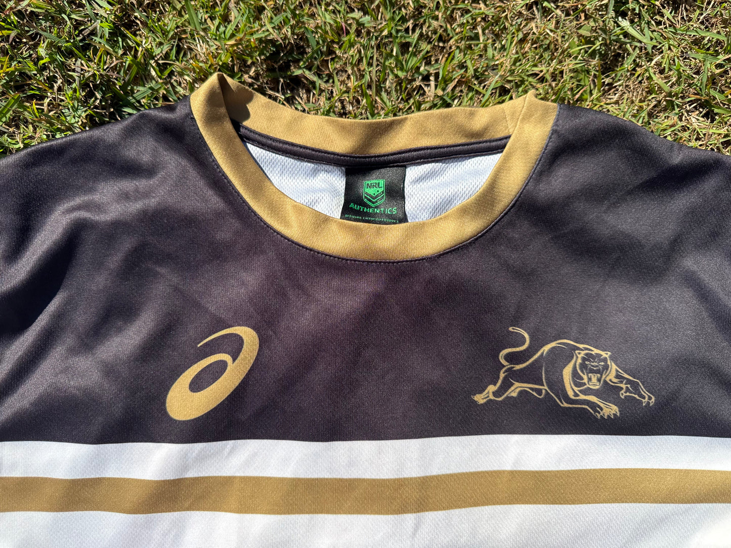 2017 Penrith Panthers Training Tee (M)
