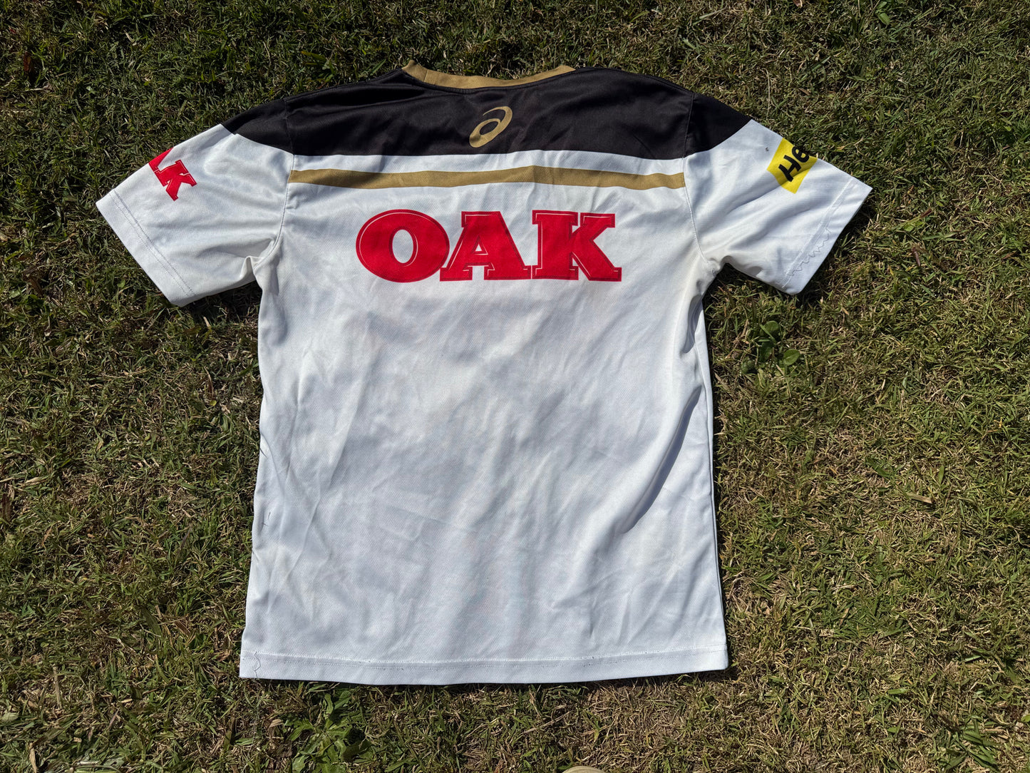 2017 Penrith Panthers Training Tee (M)