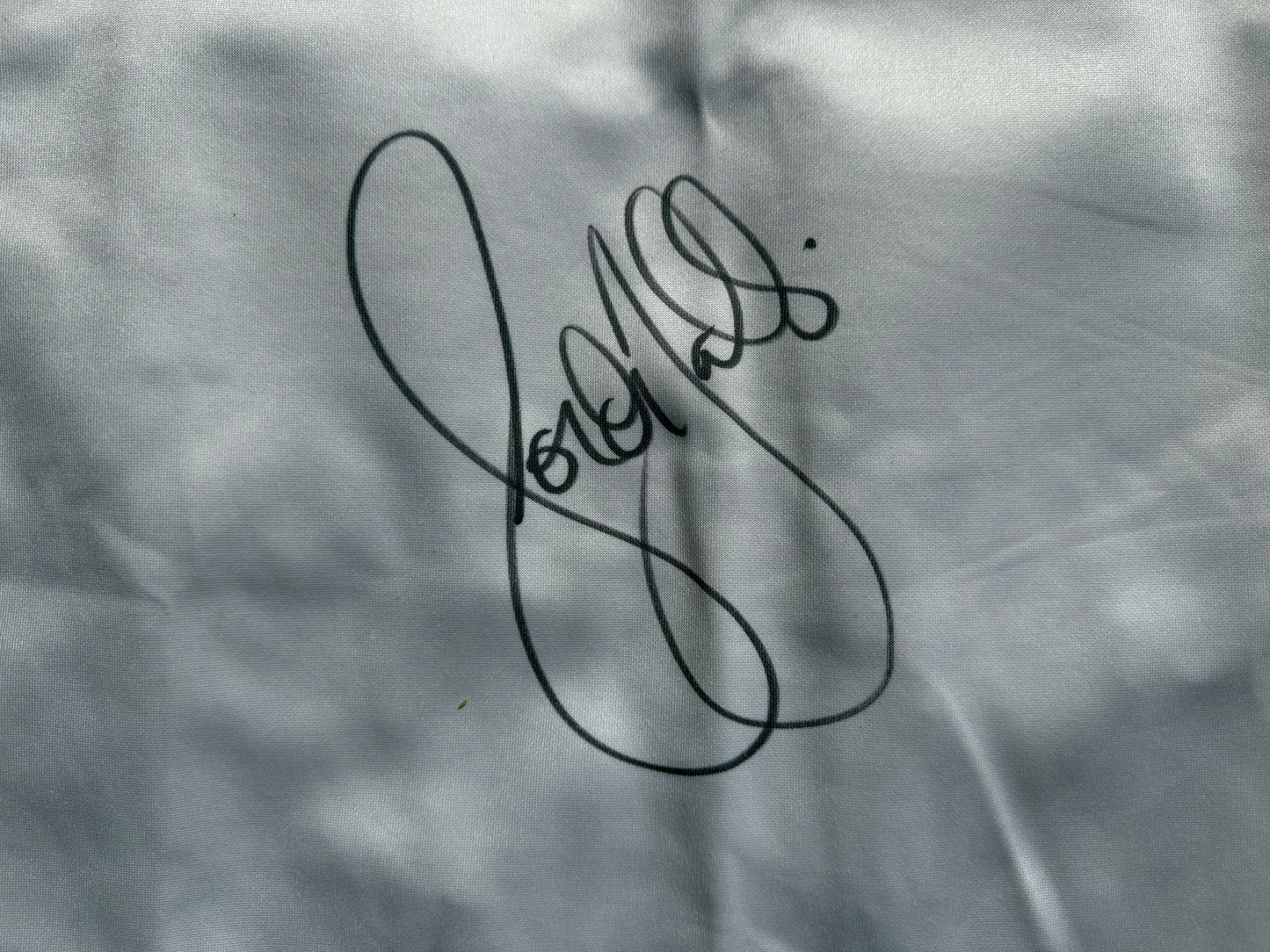 2004 Brisbane Broncos Player Issue Gordon Tallis Signed (L)