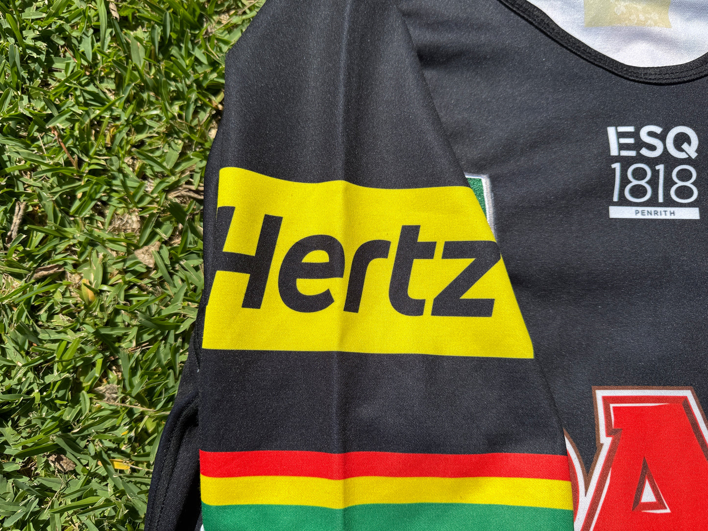 2018 Penrith Panthers Home Jersey (M)