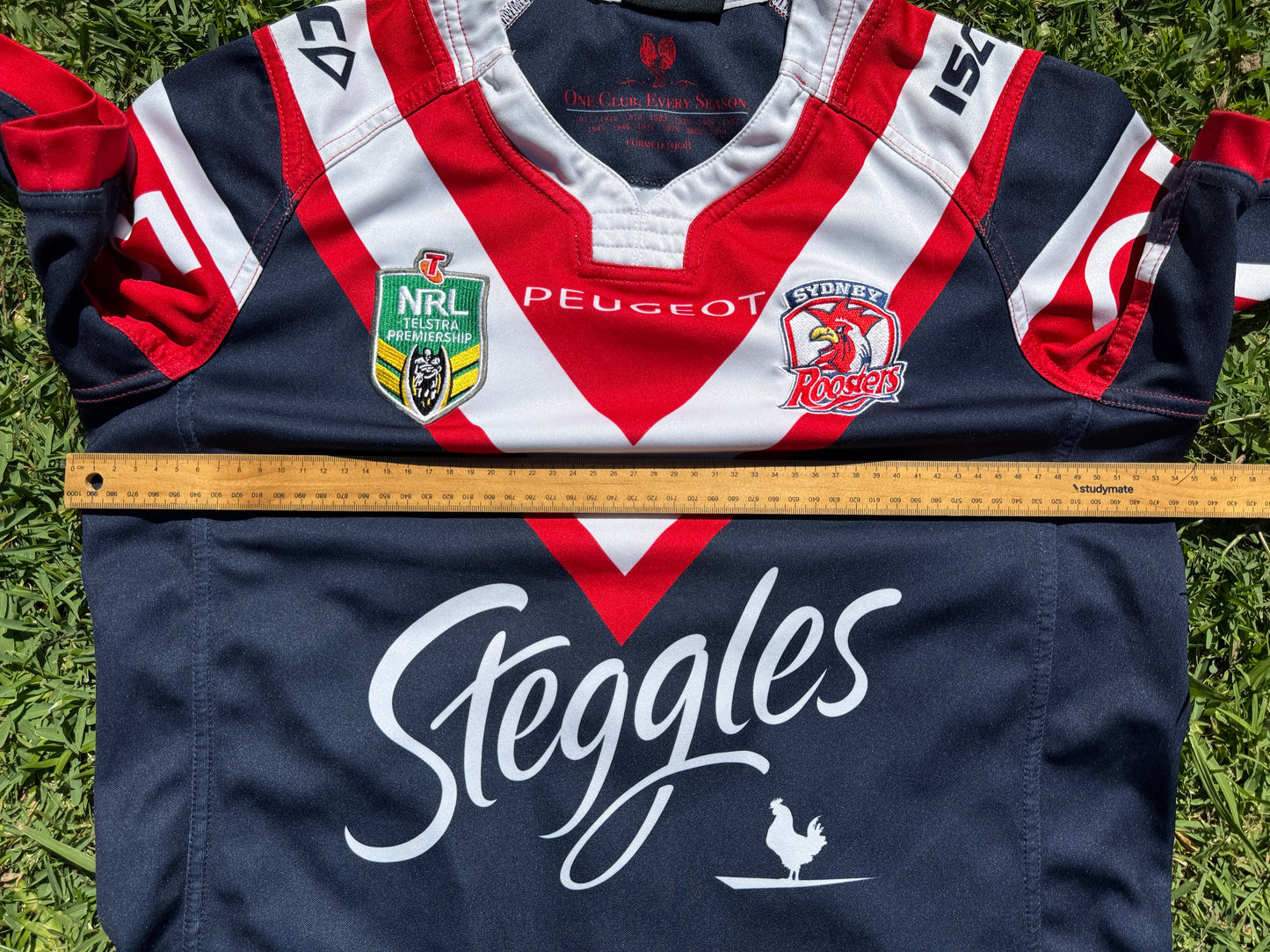 2016 Sydney Roosters Home Jersey (M)
