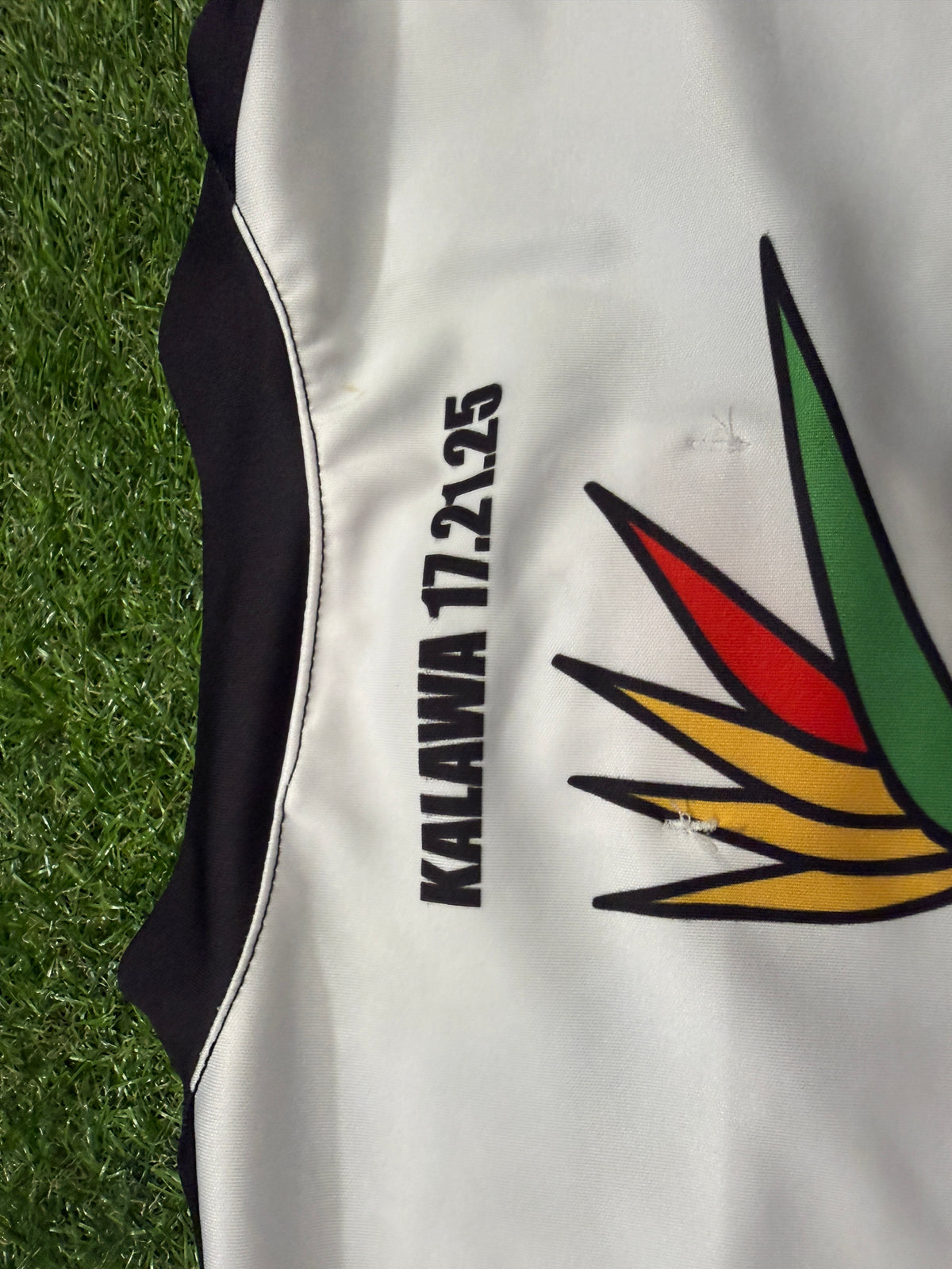 2017 Fiji  tri nations Player cut Jersey (L)