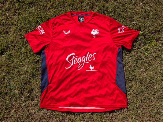 2023 Sydney Roosters training tee (4XL)