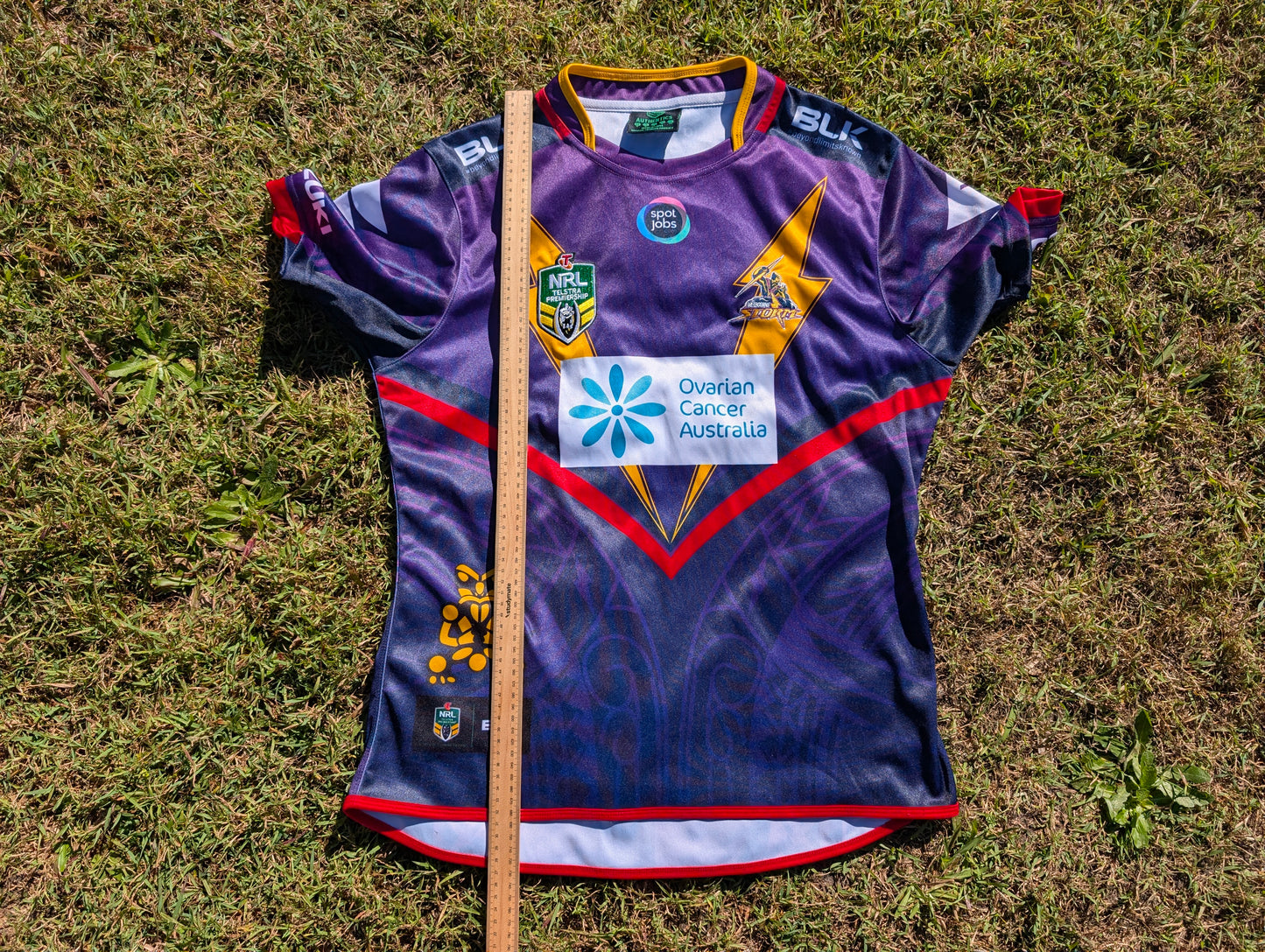 2015 Melbourne Storm Napier Special Jersey (L)