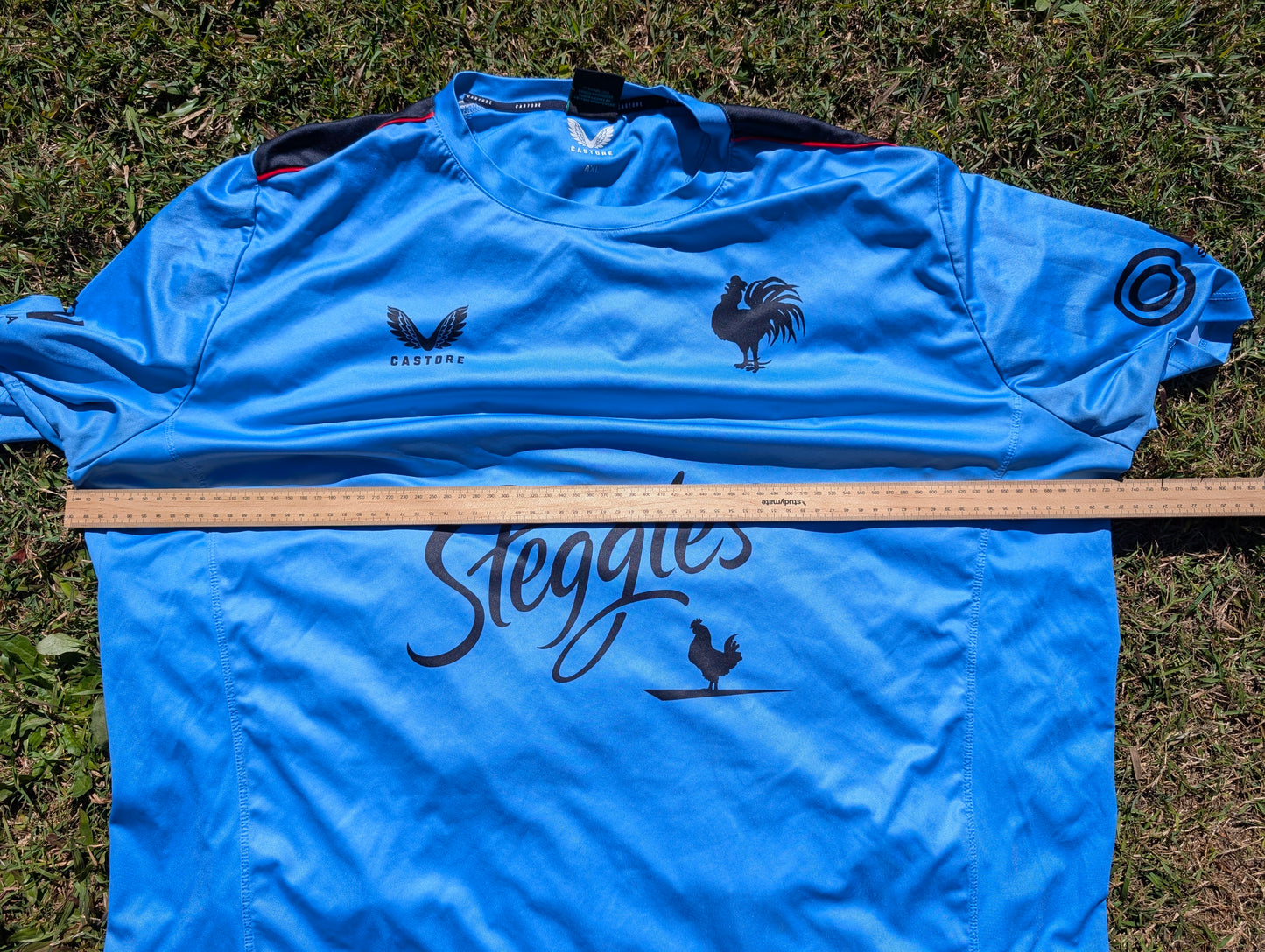 2023 Sydney Roosters Training tee (4XL)