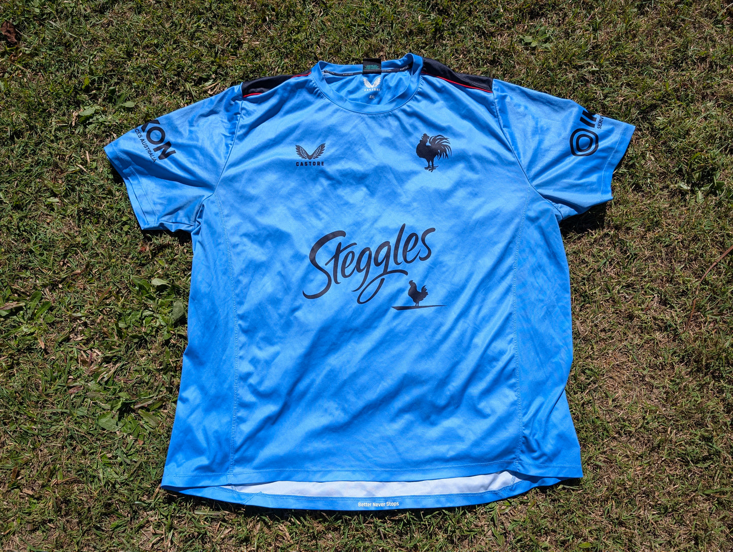 2023 Sydney Roosters Training tee (4XL)