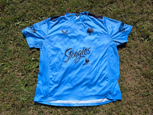 2023 Sydney Roosters Training tee (4XL)