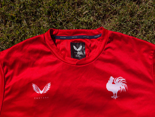 2023 Sydney Roosters training tee (4XL)