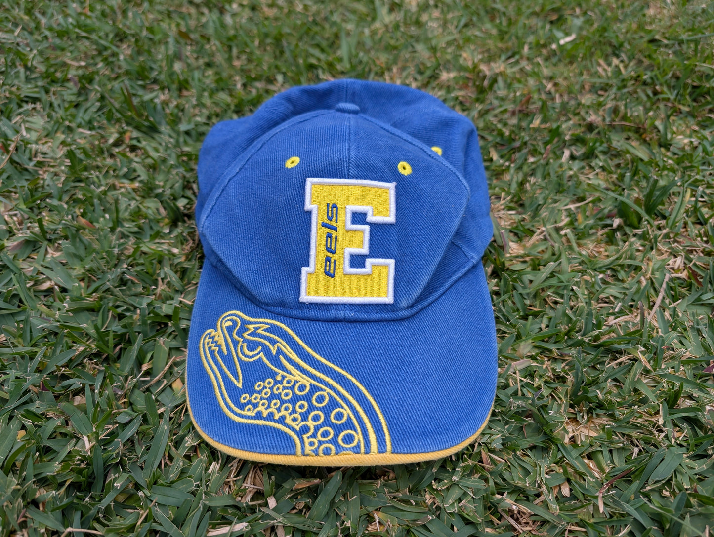 Parramatta Eels supporter cap