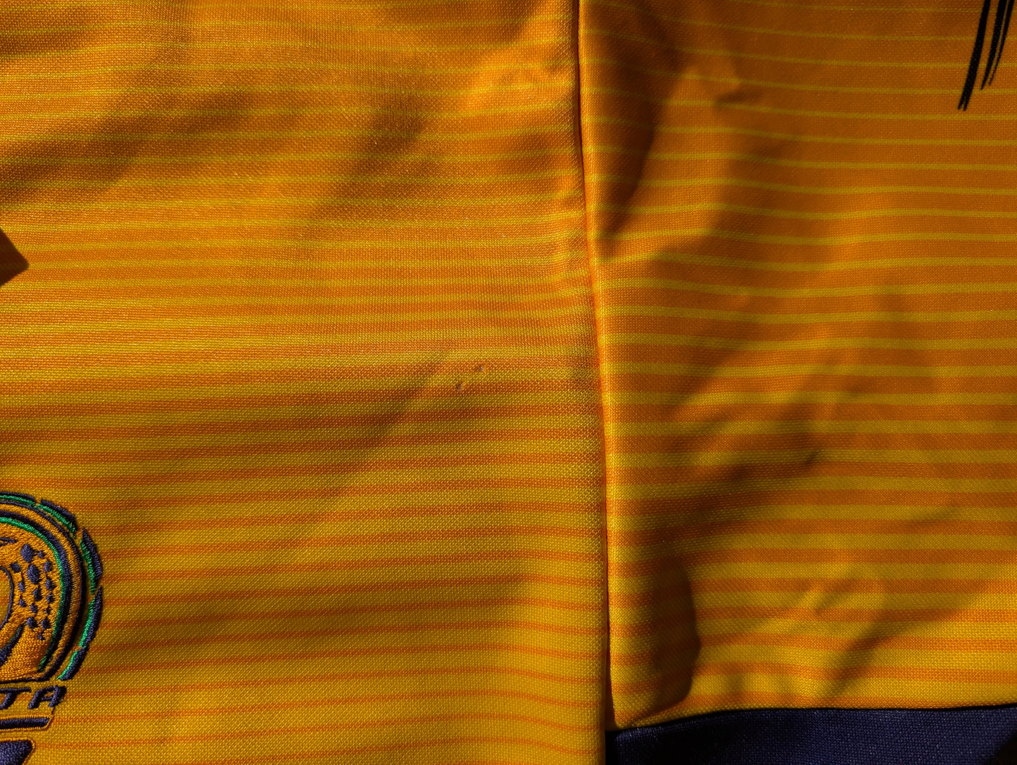 2005 Parramatta Eels Home Jersey (L)