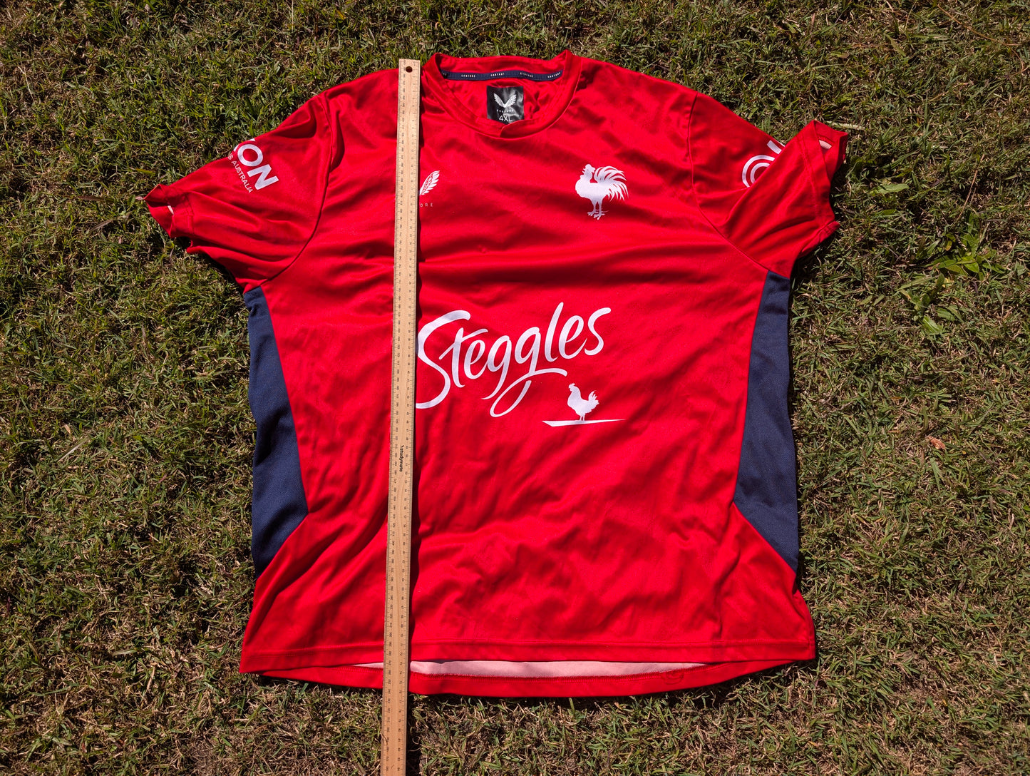 2023 Sydney Roosters training tee (4XL)