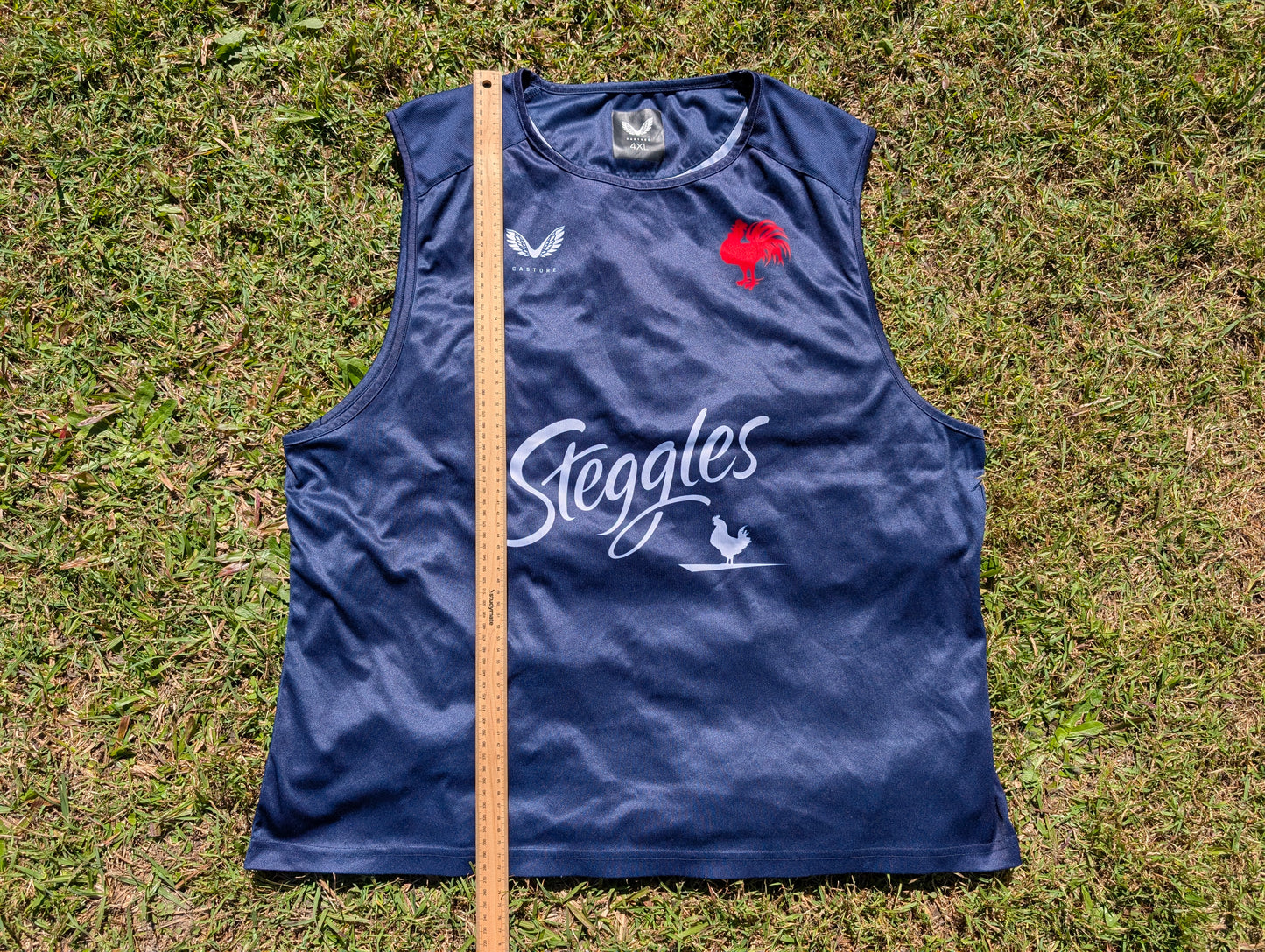 2022 Sydney Roosters Training Singlet (3XL)